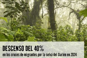 Descenso del 40% en los cruces de migrantes por la selva