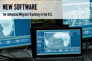 New Software for Advanced Migrant Tracking