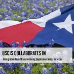 USCIS Collaborates in Immigration Fraud Case