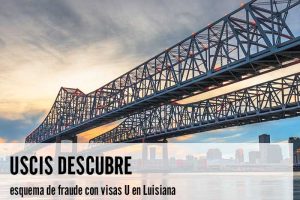 USCIS descubre esquema de fraude con visas U