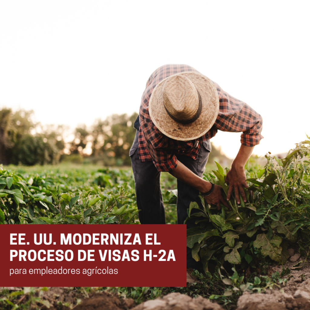 EE. UU. moderniza el proceso de visas H-2A para empleadores