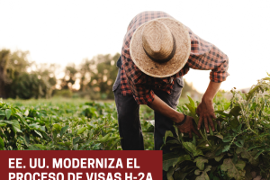 EE. UU. moderniza el proceso de visas H-2A para empleadores